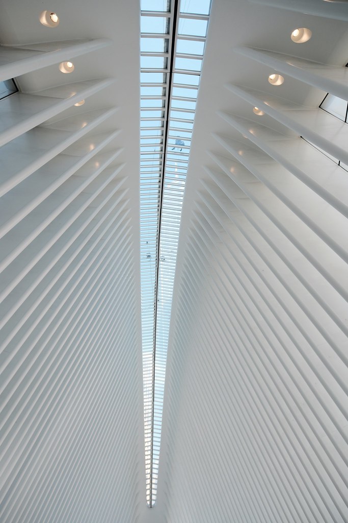 Johny Vino abstract architecture photograph of a white ribbed ceiling